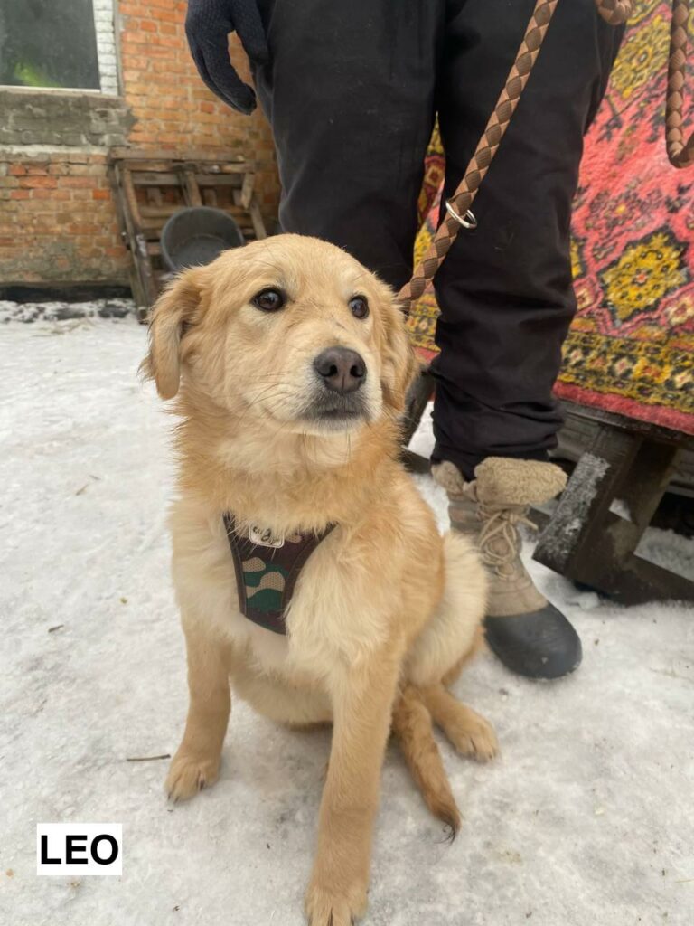 photo 2026 02 17 20 38 46 2