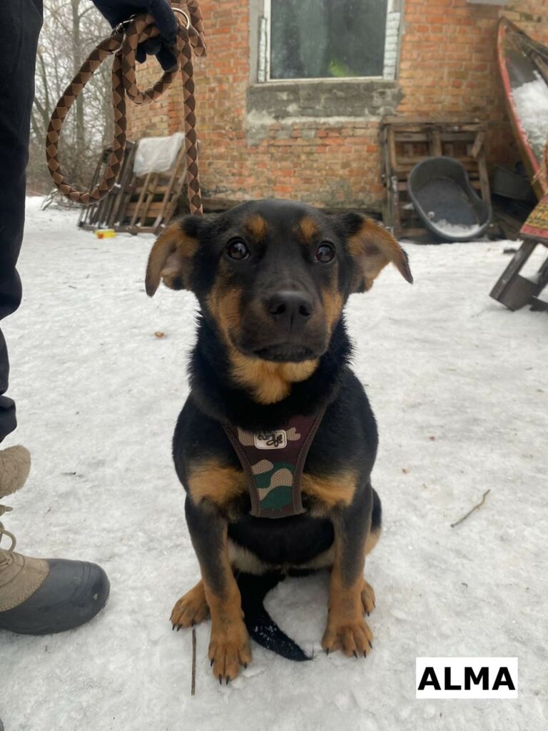 photo 2026 02 17 20 39 54 2