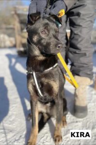 photo 2026 02 17 20 41 06