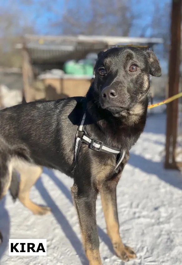 photo 2026 02 17 20 41 06 2