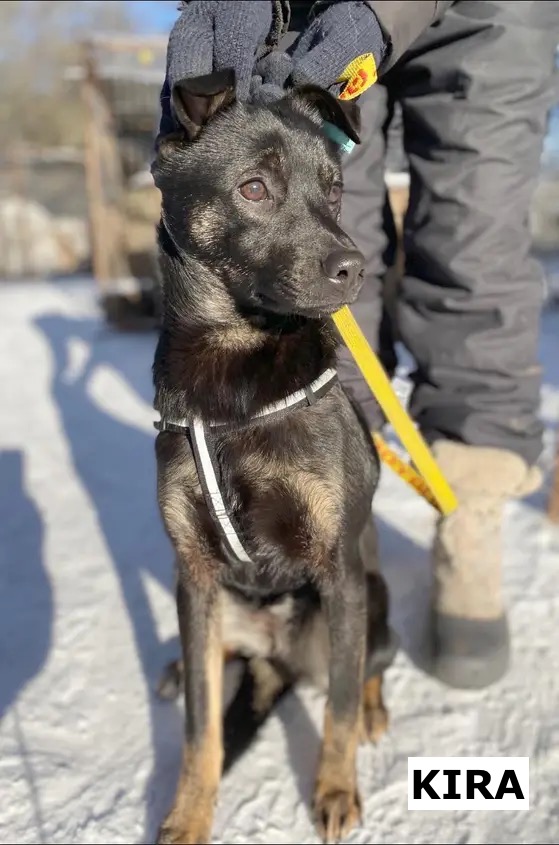 photo 2026 02 17 20 41 06