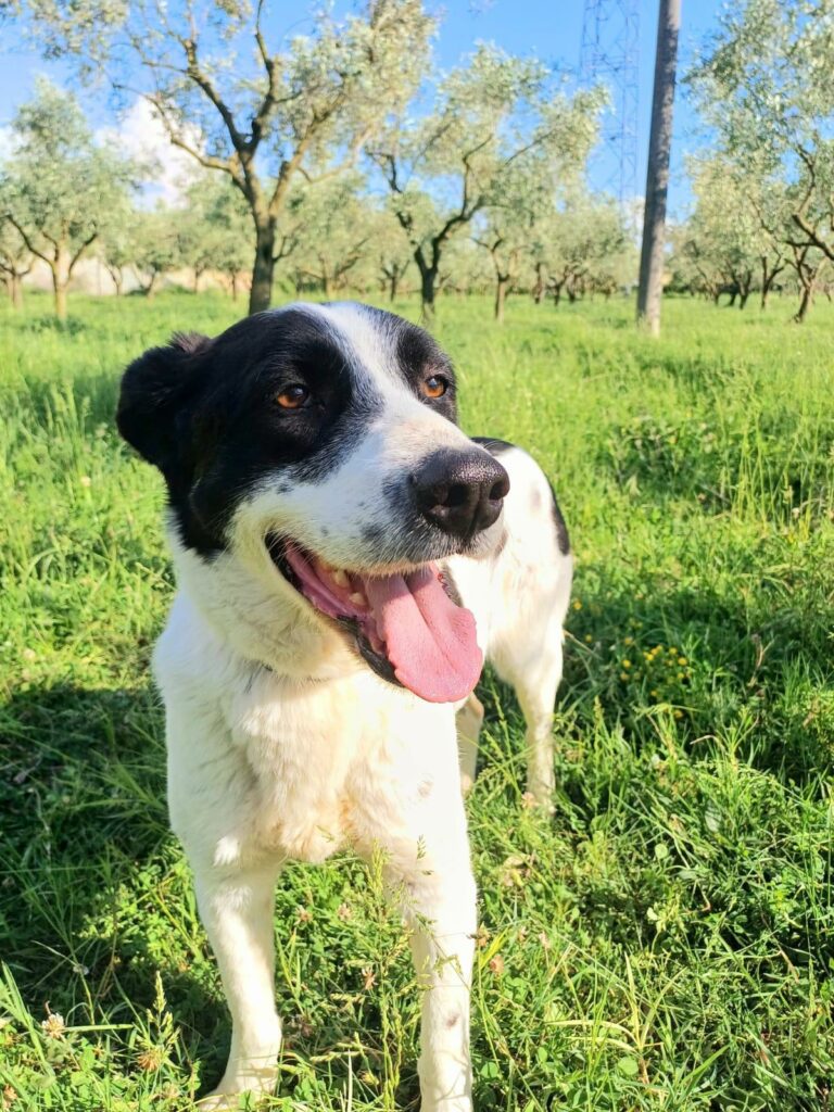 photo 2026 03 03 11 01 09 6