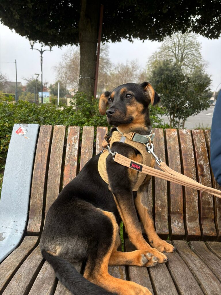 photo 2026 03 10 12 04 22