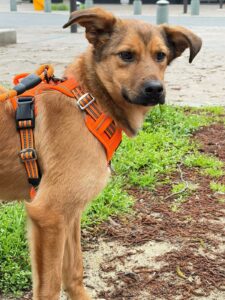 whatsapp image 2026 03 14 at 22.20.44