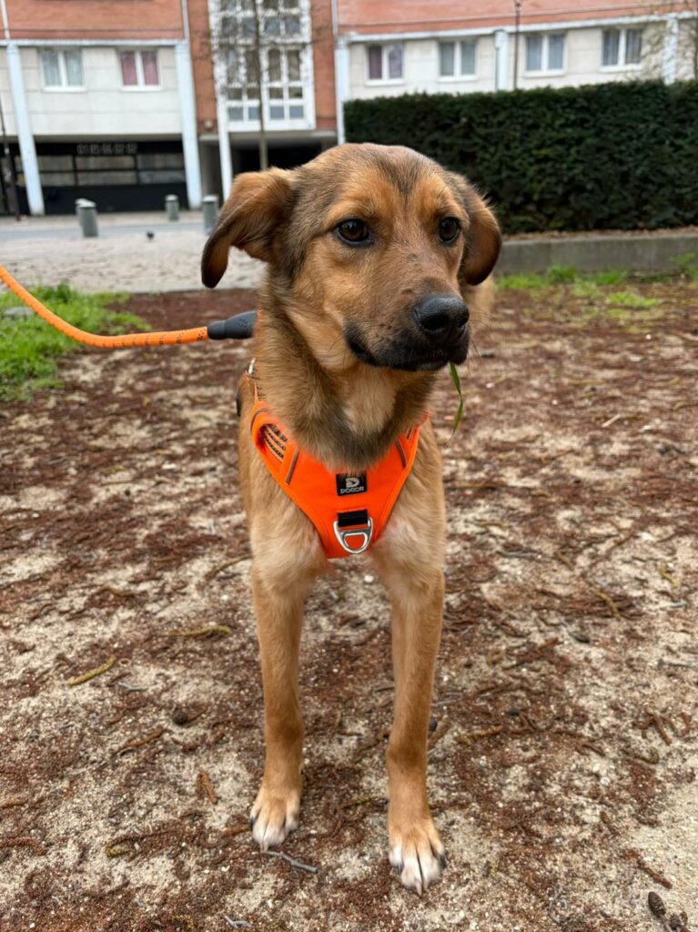 whatsapp image 2026 03 14 at 22.21.00