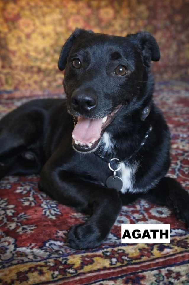agath2