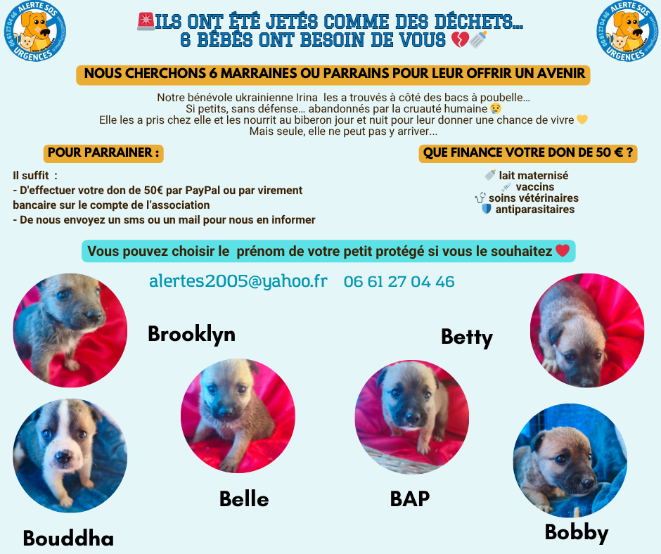 parrainage chiots prenoms