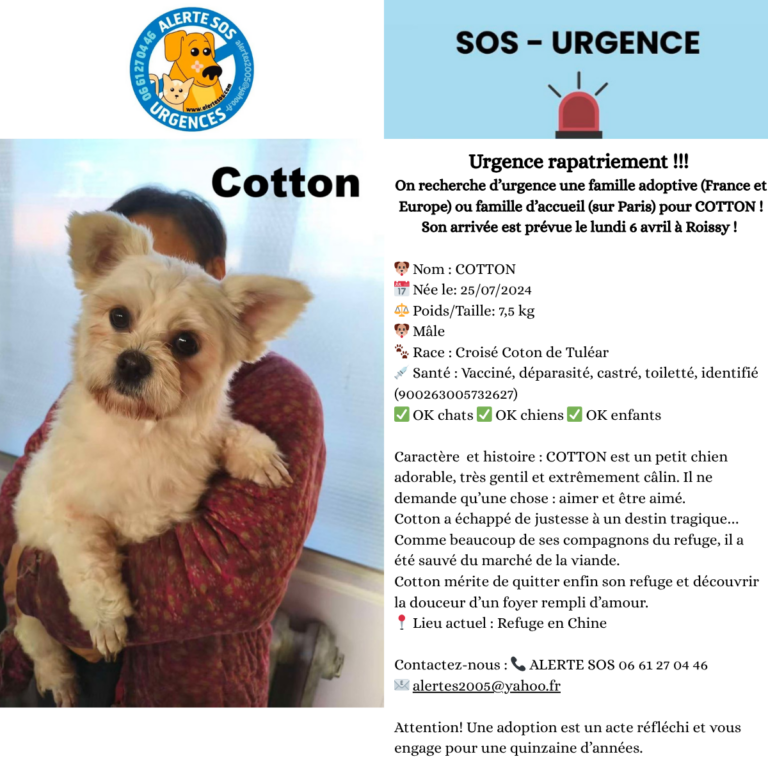 urgence cotton