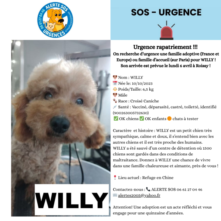 urgence willy