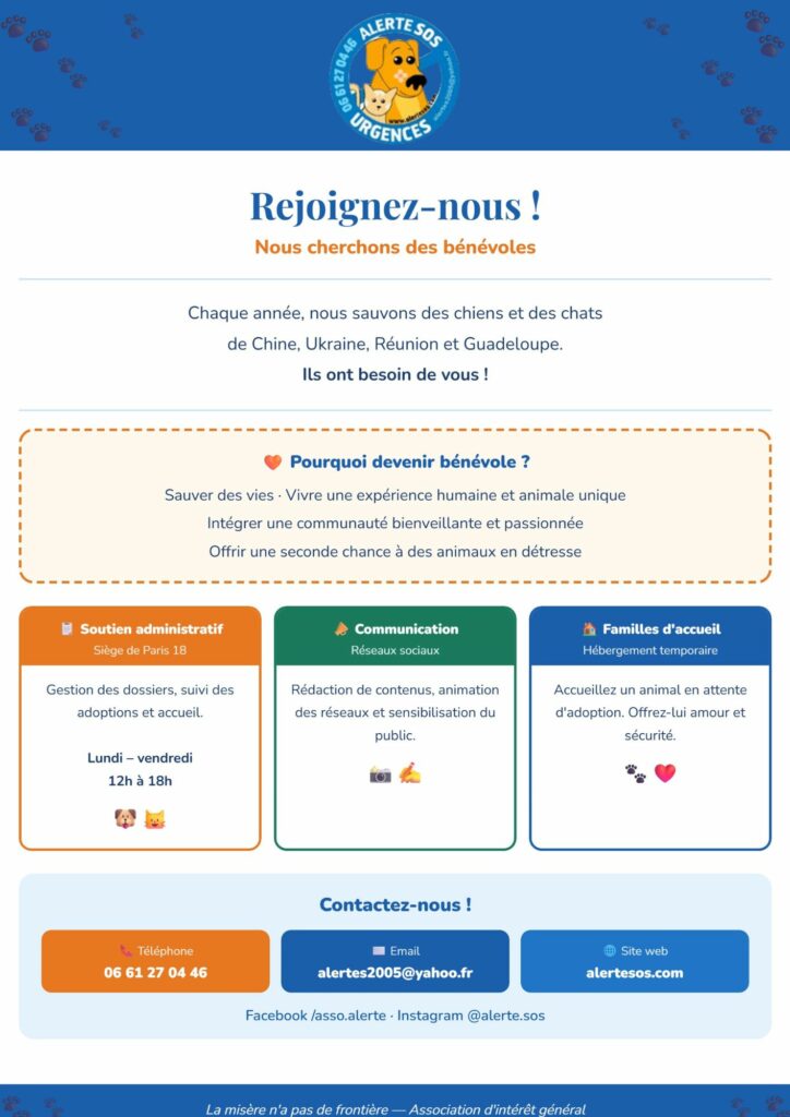 aidez nous a sauver 10 animaux d’ukraine (4)