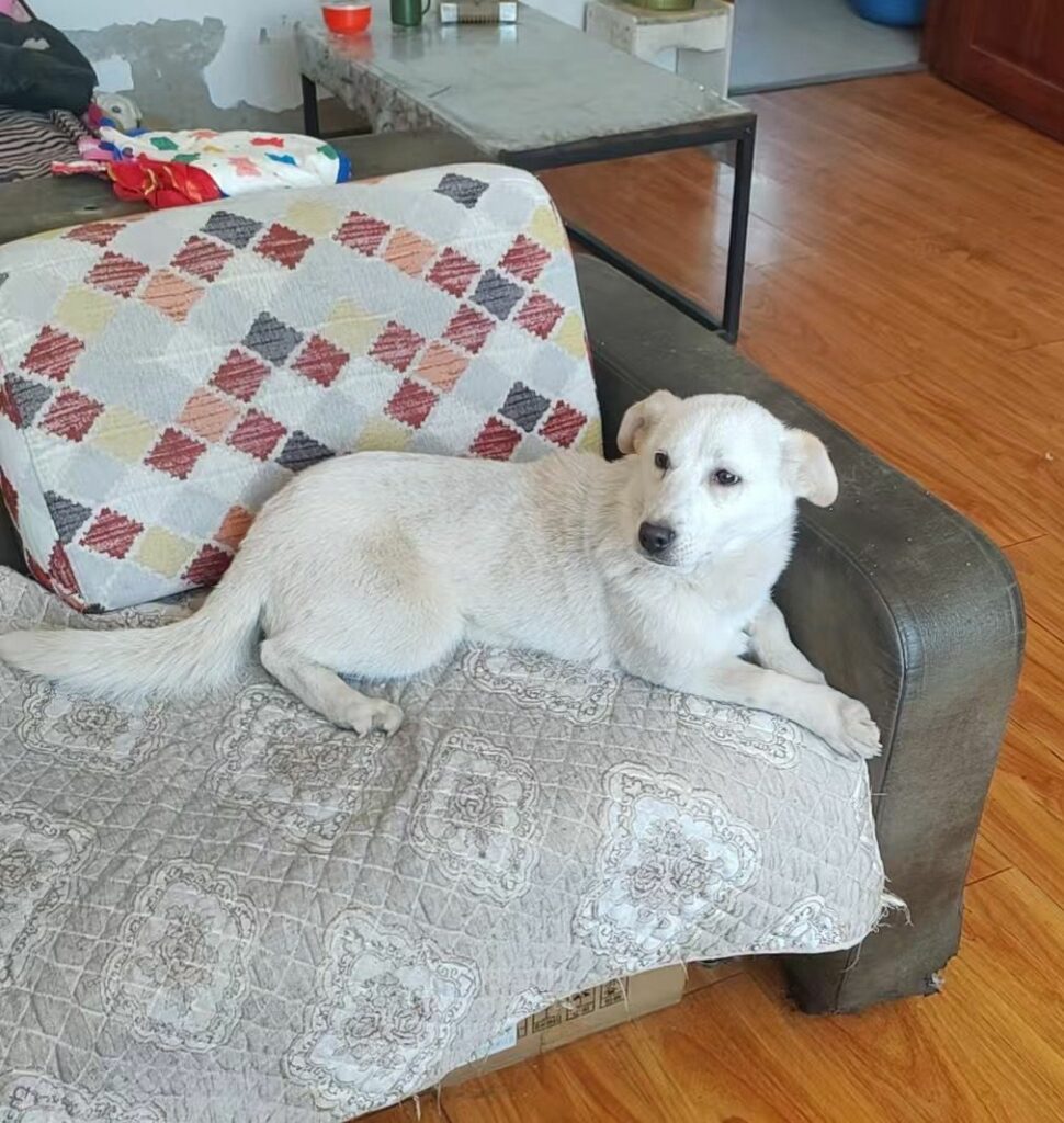 maggie 5