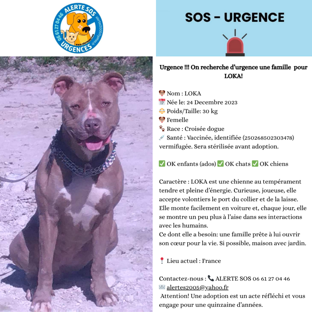 urgence loka