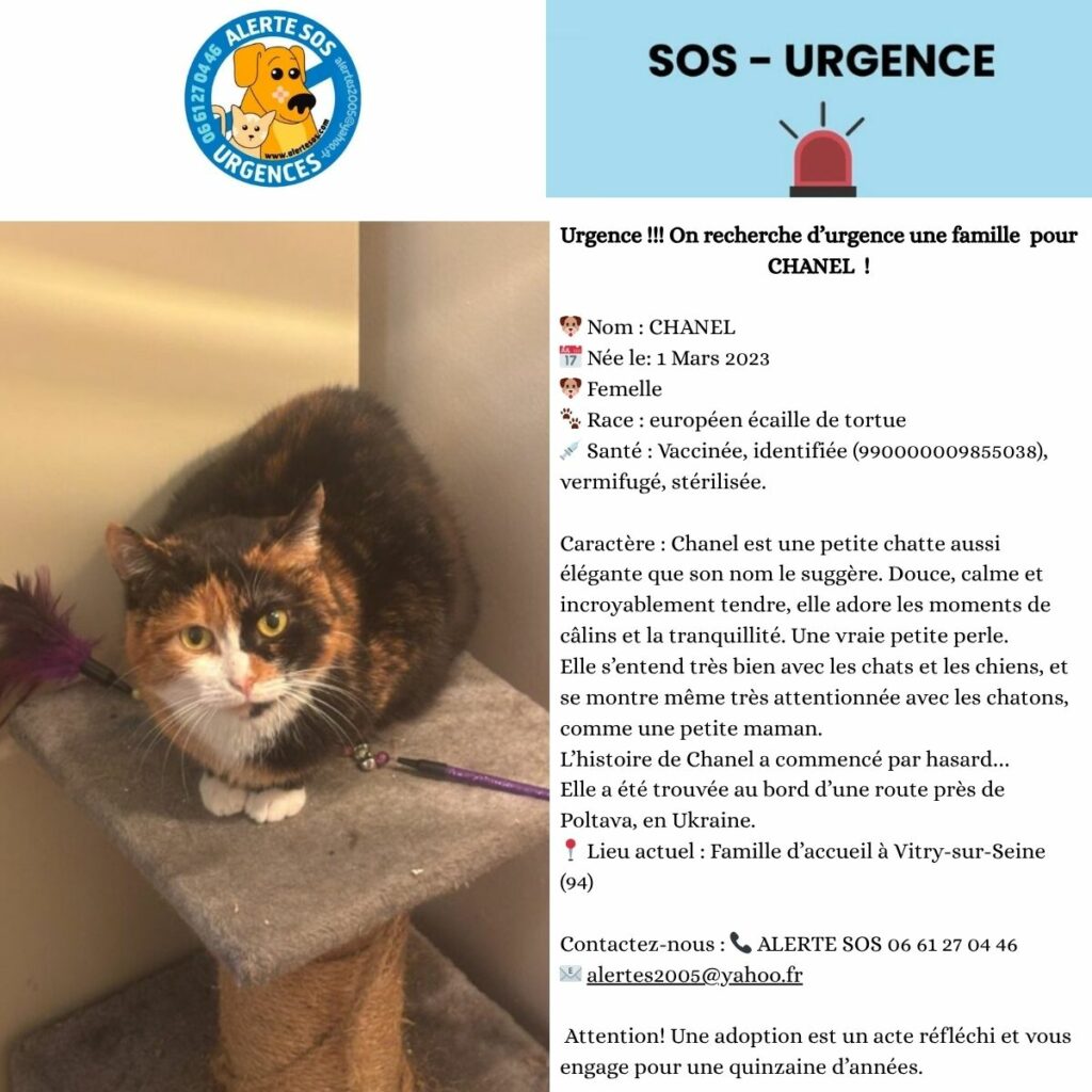 urgences site web