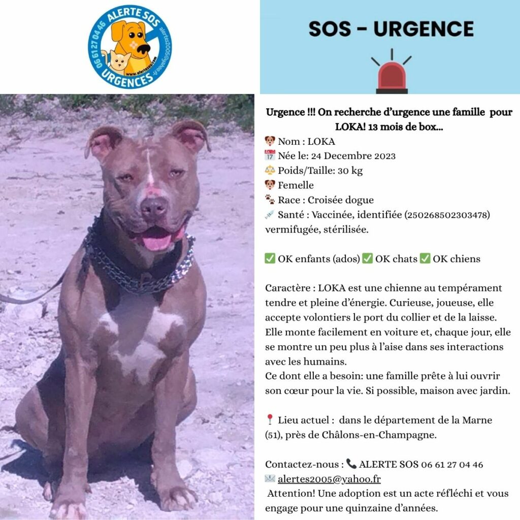urgences site web (2)