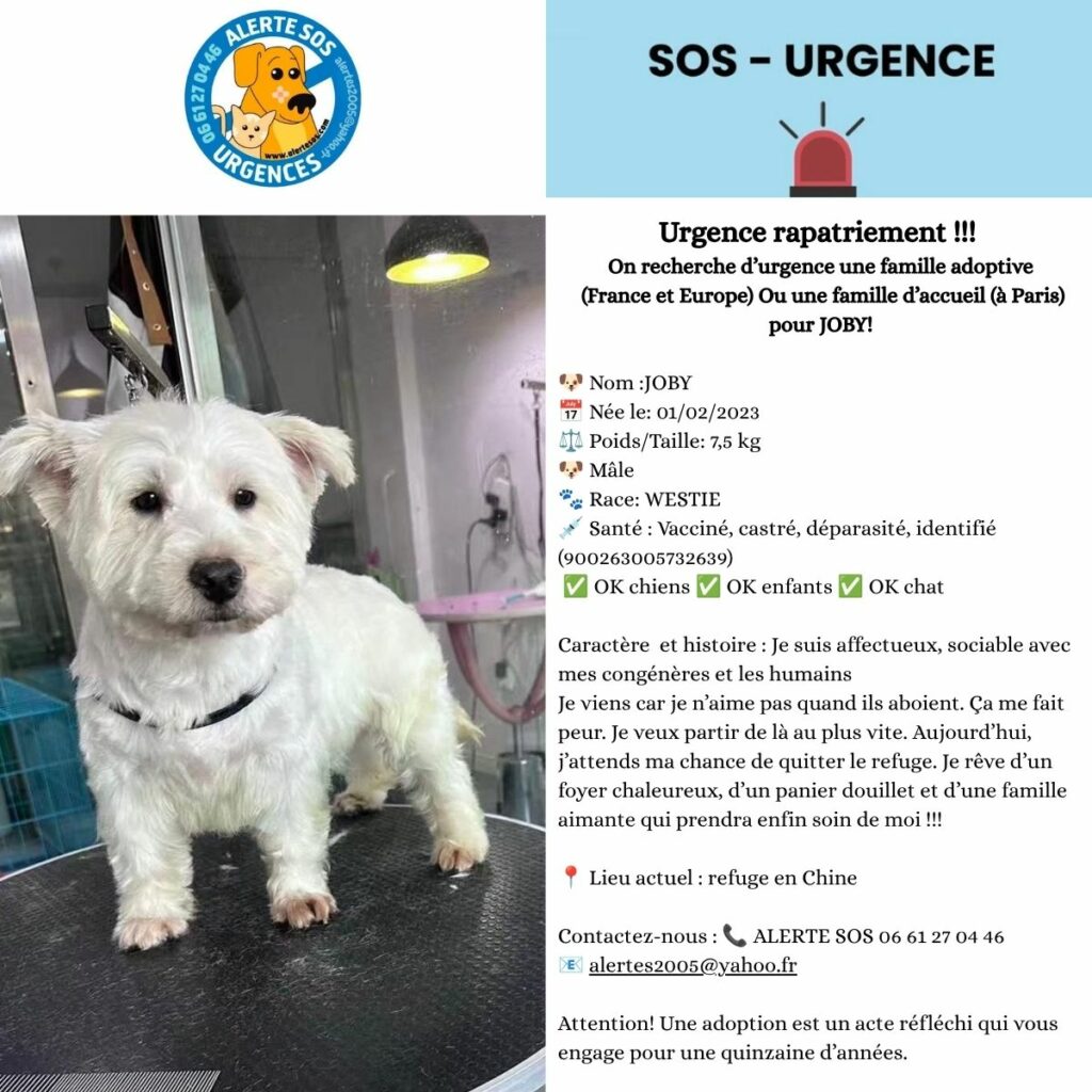urgences site web (4)