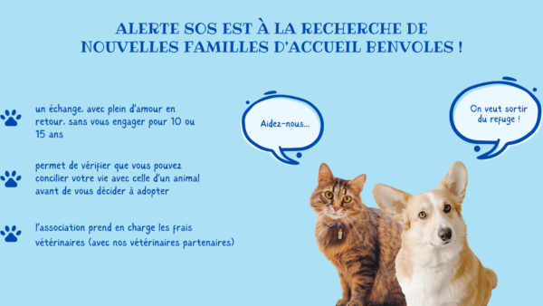 belevole fa