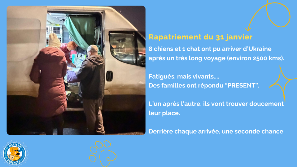 capture d'écran 2026 06 08 215517