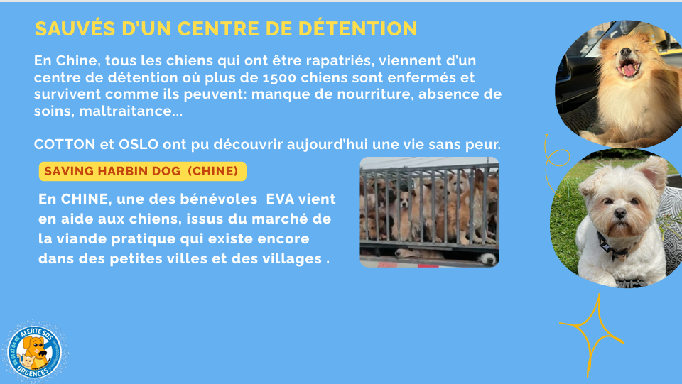 capture d'écran 2026 06 08 215624