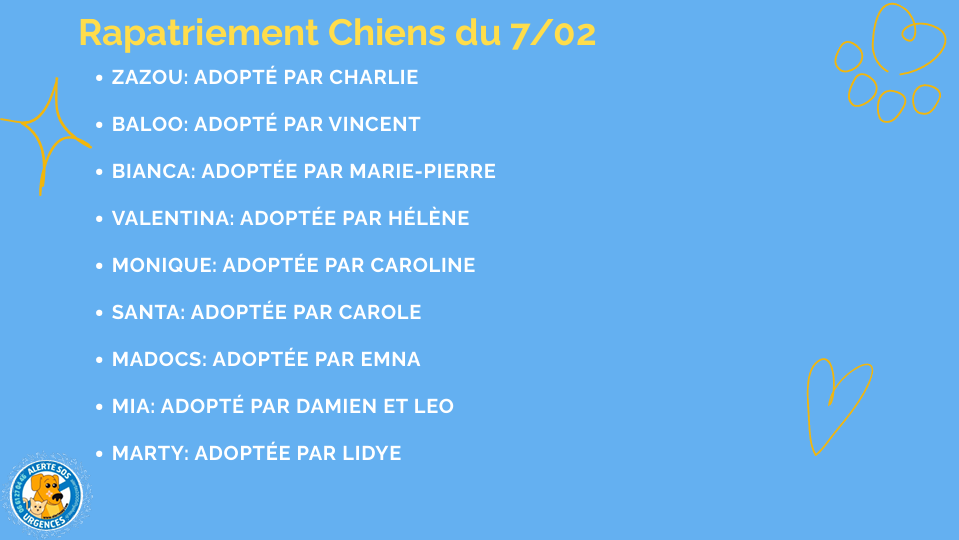 capture d'écran 2026 06 08 215748