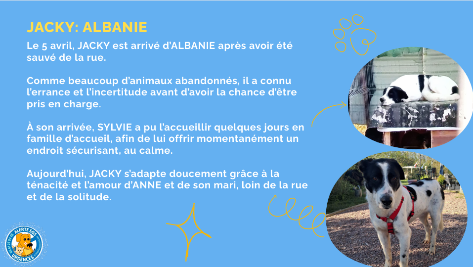 capture d'écran 2026 06 08 215830