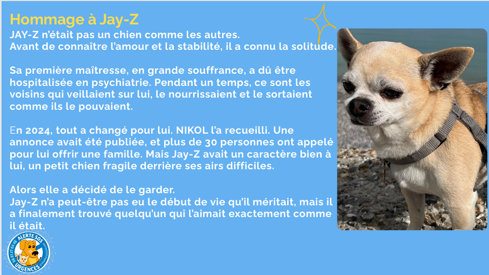 capture d'écran 2026 06 08 215933