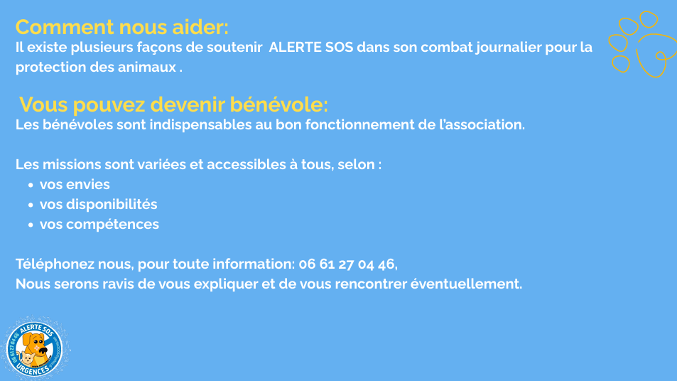 capture d'écran 2026 06 08 215957