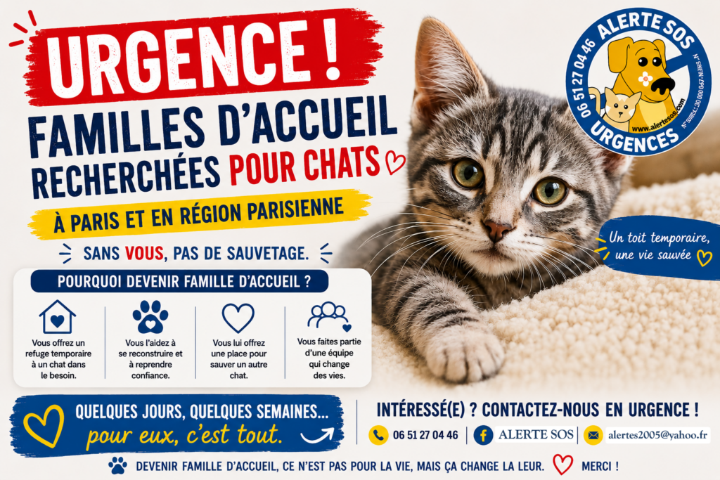 fa chat
