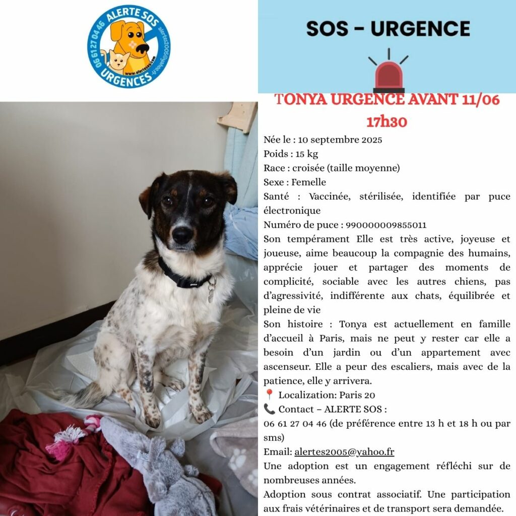 urgences site web (7)