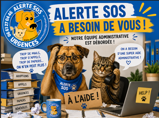 capture d'écran 2026 06 27 111633