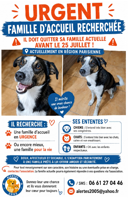 capture d'écran 2026 07 22 171148