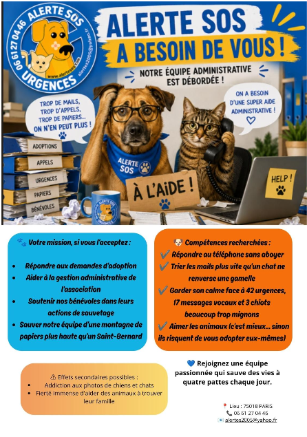 capture d'écran 2026 07 27 212245