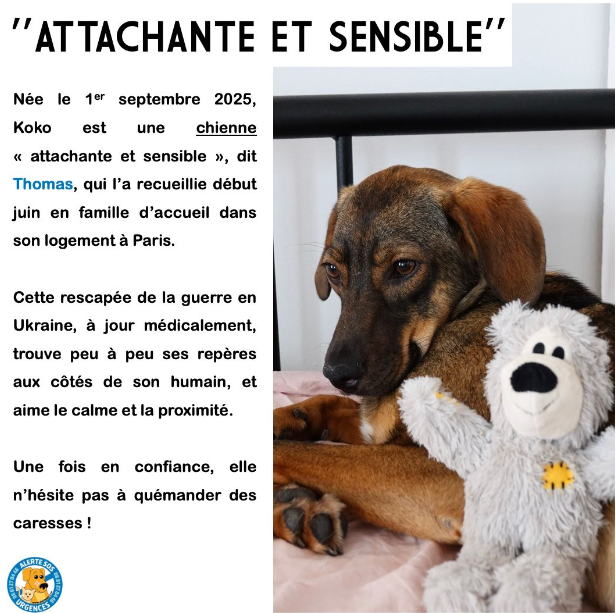 capture d'écran 2026 07 27 212612