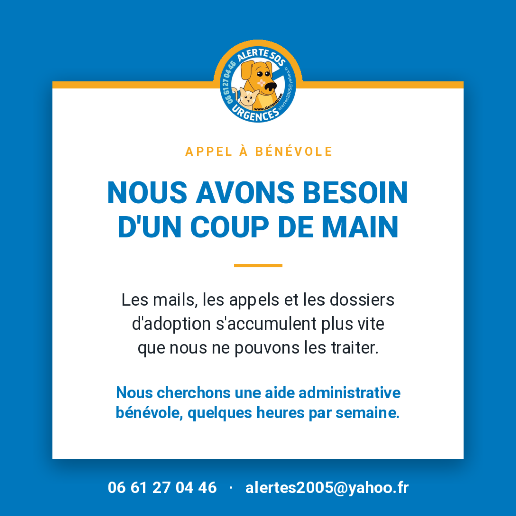Affiche d'Alerte SOS sur fond bleu, avec le logo de l'association en haut. Texte : « Appel à bénévole. Nous avons besoin d'un coup de main. Les mails, les appels et les dossiers d'adoption s'accumulent plus vite que nous ne pouvons les traiter. Nous cherchons une aide administrative bénévole, quelques heures par semaine. » Contact : 06 61 27 04 46, alertes2005@yahoo.fr.
