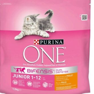 Croquettes chat Purina