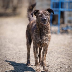 557418008 122168094404483181 3912223191456540988 n (1)