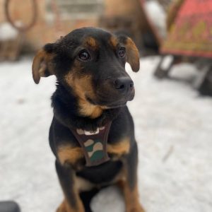 634223722 922800893594514 5833482750307745310 n