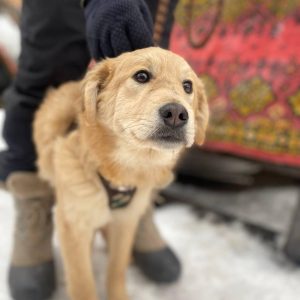 635646840 922804176927519 4194213989380641533 n