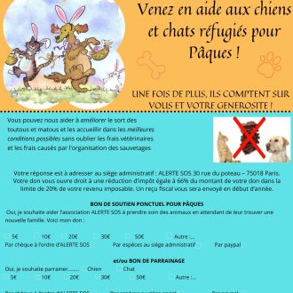 Adoptions de Pâques