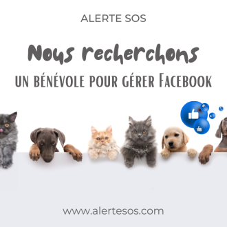 Alerte SOS recherche des bénévoles pour gérer son compte facebook