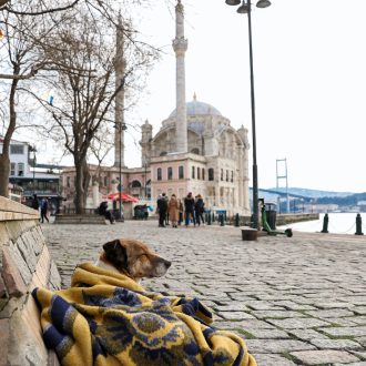 SDF accueillis dans un centre de jour