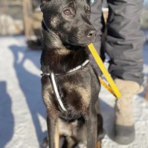 photo 2026 02 17 20 41 06