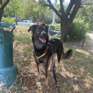 redimensions photos site (32)