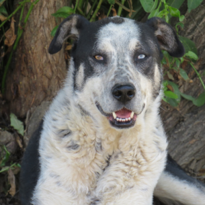 redimensions photos site (42)