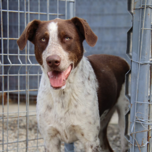 redimensions photos site (43)