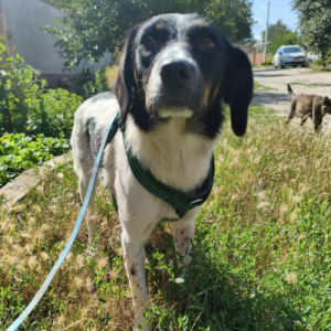 redimensions photos site (62)