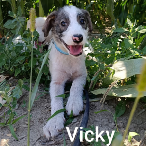 redimensions photos site (82)