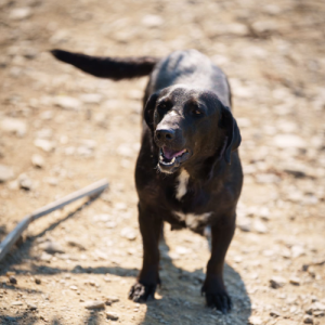 redimensions photos site (86)