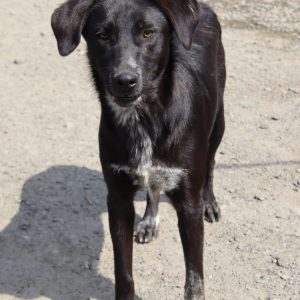 whatsapp image 2025 12 02 at 23.08.25