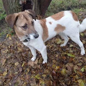 whatsapp image 2025 12 03 at 16.07.40