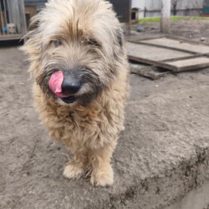 whatsapp image 2025 12 07 at 07.07.32 (1)